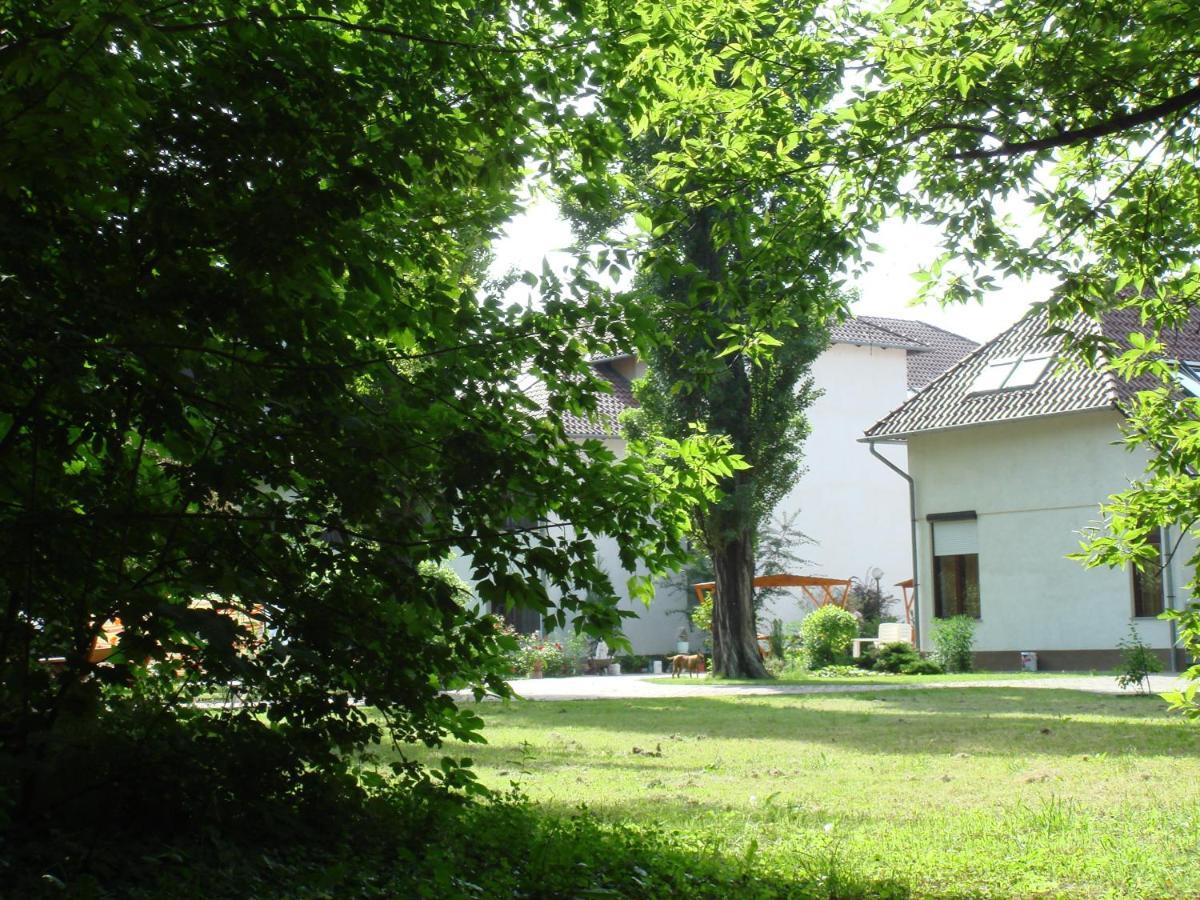 Róza Hotel és Apartmanház Esztergom Exterior foto